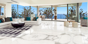 Read more about the article STATUARIO MARBLE IN INDIA