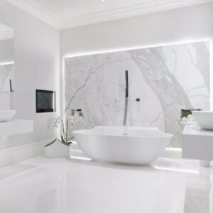 Read more about the article Italian Statuario Marble