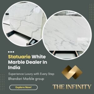 Read more about the article Italian Statuario Marble vs Indian Statuario Marble