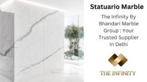 Read more about the article Buy Statuario Marble In Delhi