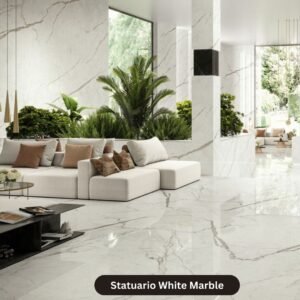 Read more about the article Statuario Marble : A Timeless Choice by The Infinity Marble