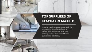 Read more about the article Top Suppliers of Statuario Marble in India