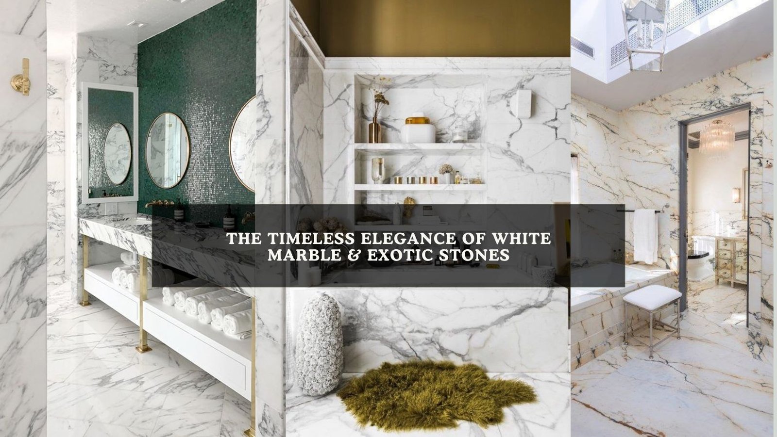 White Marble & Exotic Stones