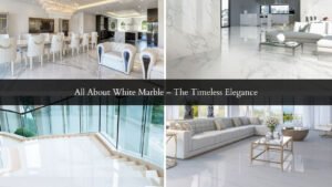 Read more about the article All About White Marble